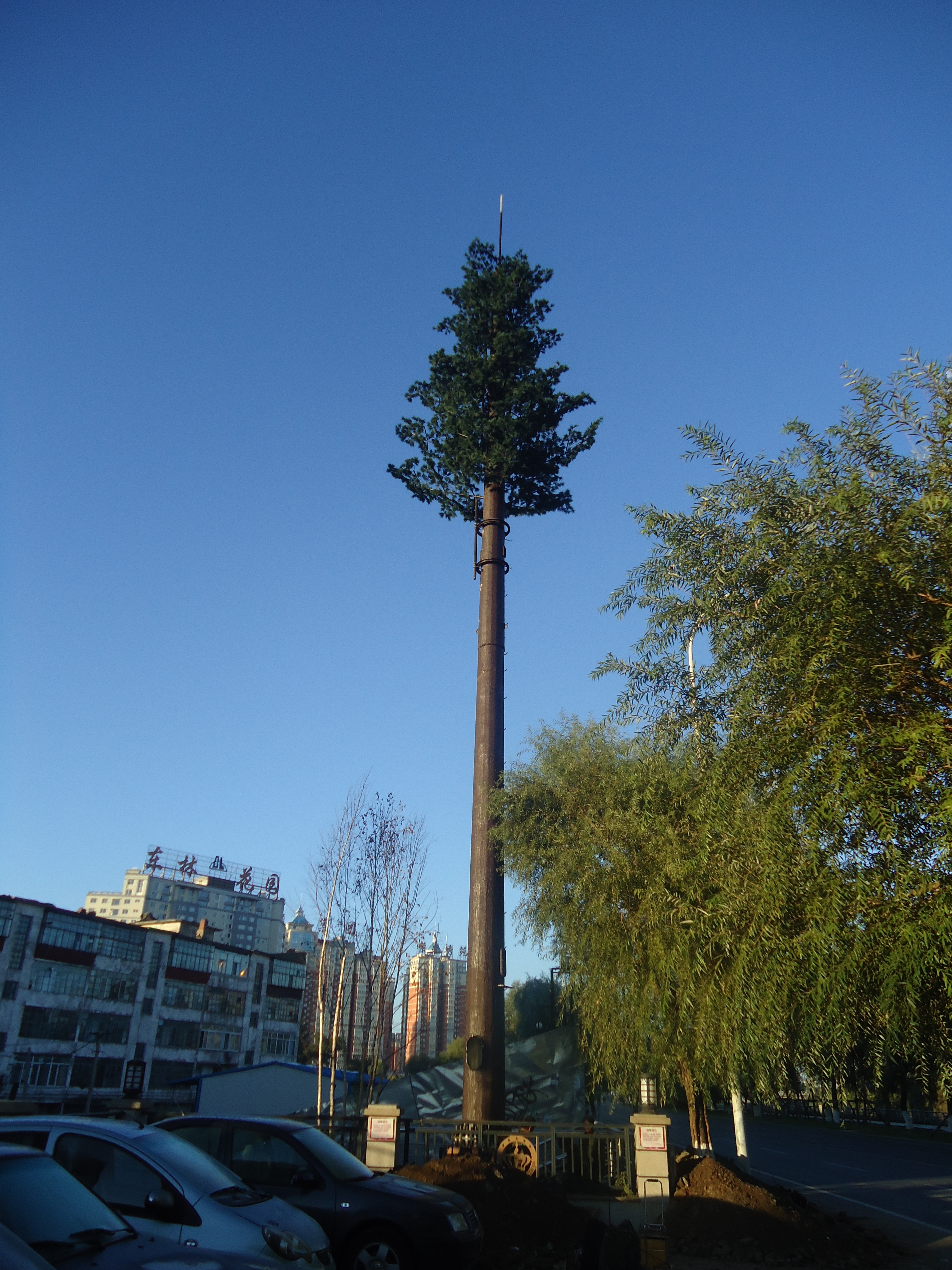 仿生树通讯塔